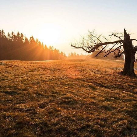 Penzion Rondo Bystřice pod Hostýnem エクステリア 写真